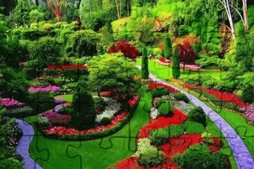 Imagenes