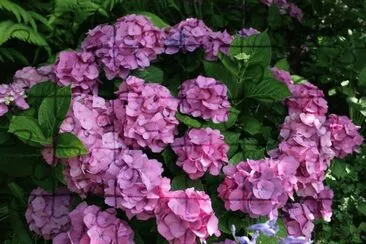 Imagenes jigsaw puzzle