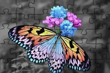 Imagenes jigsaw puzzle