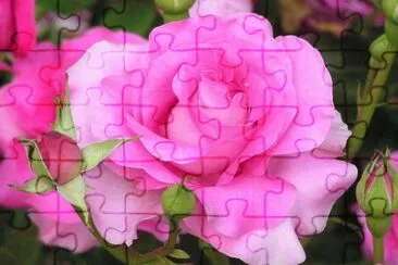 Imagenes jigsaw puzzle