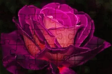 Imagenes jigsaw puzzle