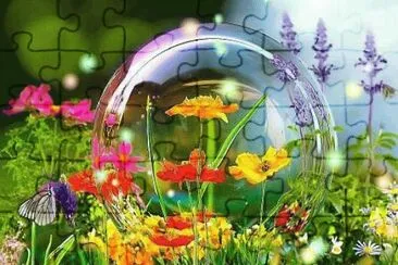 Imagenes
