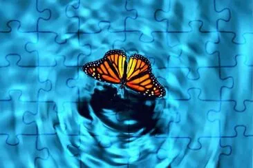 Imagenes jigsaw puzzle