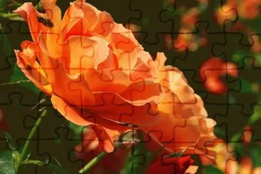 פאזל של Imagenes