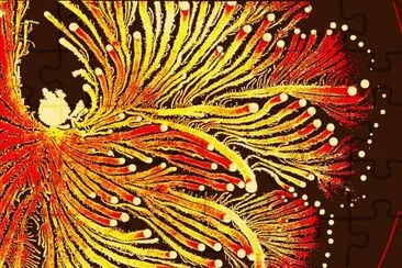 bacteria as art