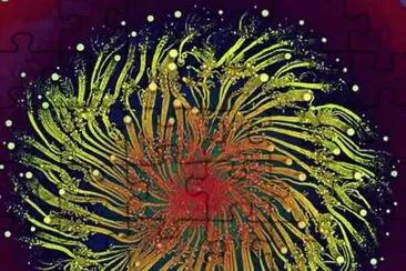bacteria as art jigsaw puzzle
