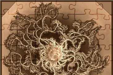 bacteria as art jigsaw puzzle