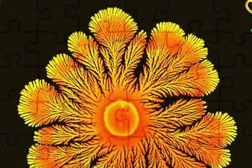 bacteria as art jigsaw puzzle