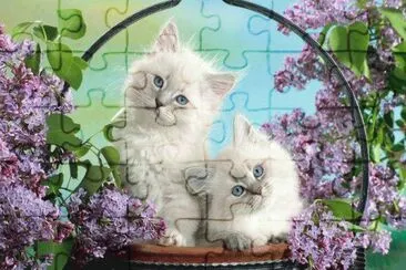Imagen jigsaw puzzle