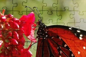 Imagen jigsaw puzzle