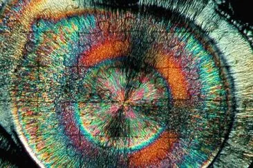 ascorbic acid jigsaw puzzle