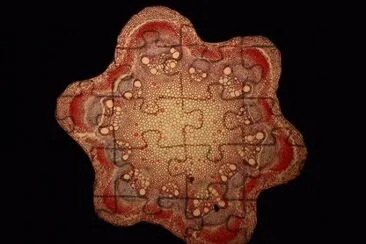 hop stem jigsaw puzzle