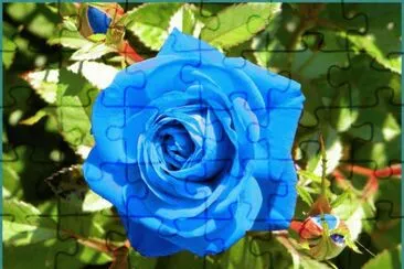 ImÃ¡genes jigsaw puzzle