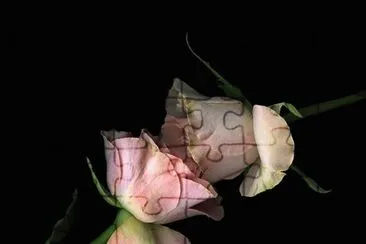 ImÃ¡genes jigsaw puzzle