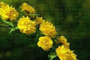 ImÃ¡genes jigsaw puzzle