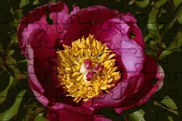 a jigsaw puzzle