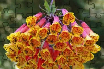 a jigsaw puzzle