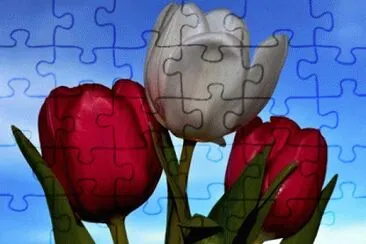 image jigsaw puzzle