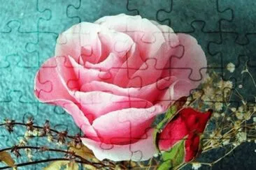 image jigsaw puzzle
