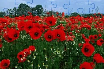 ImÃ¡genes jigsaw puzzle