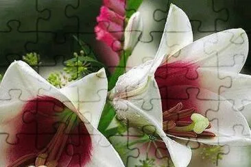 ImÃ¡genes jigsaw puzzle