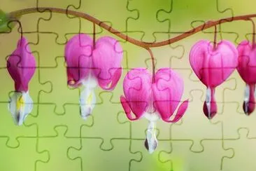 c jigsaw puzzle