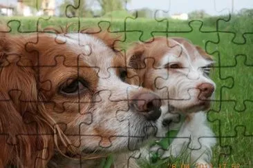 Lisa e Stella
