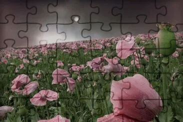 ImÃ¡genes jigsaw puzzle