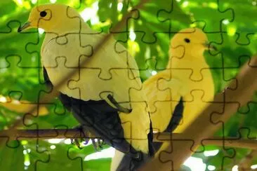 ImÃ¡genes jigsaw puzzle