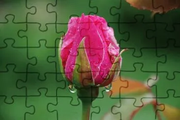 ImÃ¡genes jigsaw puzzle