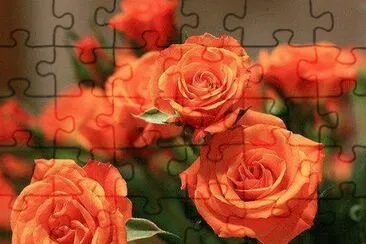 ImÃ¡genes jigsaw puzzle