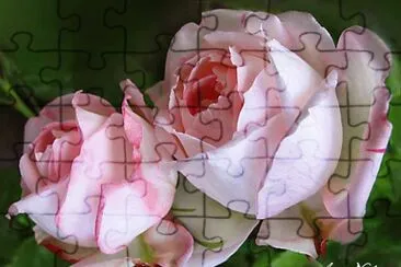 ImÃ¡genes jigsaw puzzle