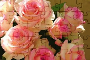 ImÃ¡genes jigsaw puzzle