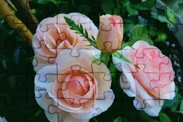 ImÃ¡genes jigsaw puzzle