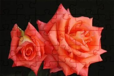ImÃ¡genes jigsaw puzzle