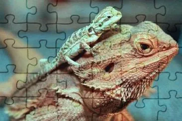 ImÃ¡genes