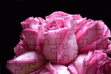 ImÃ¡genes jigsaw puzzle