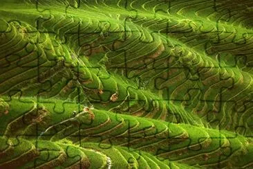 waves jigsaw puzzle