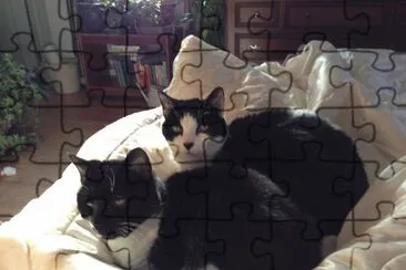 Violet and Sam jigsaw puzzle