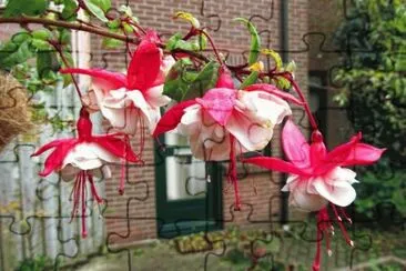 â™¦ jigsaw puzzle