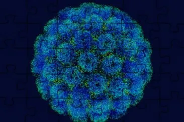 symian jigsaw puzzle