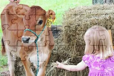 Calf and Girl