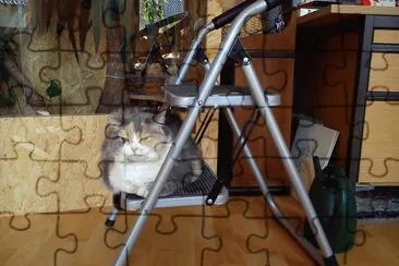 Minka