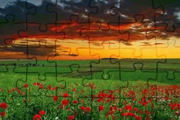 FLORES DEL CAMPO jigsaw puzzle