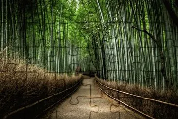 cooling stroll jigsaw puzzle