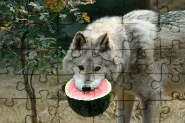 פאזל של Brother Wolf