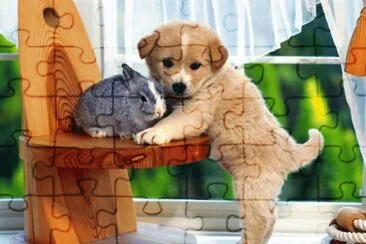 CACHORRITO