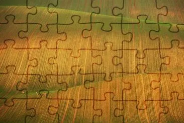 פאזל של field with deer