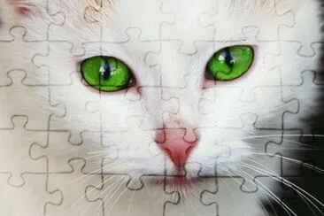 פאזל של Cat With Green Eyes