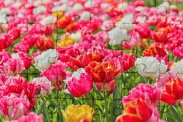 פאזל של Bright Vivid Flowers